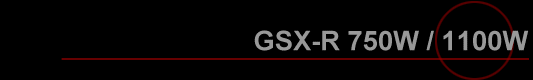 GSX-R 750W / 1100W